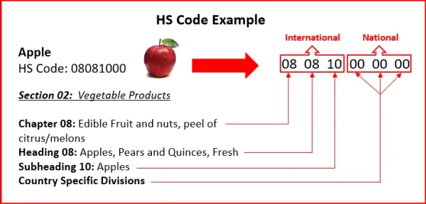 All you need to know about HS Codes (Harmonized System Codes)